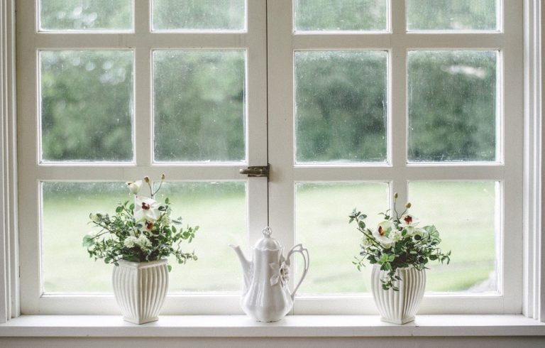 flowers in a vase