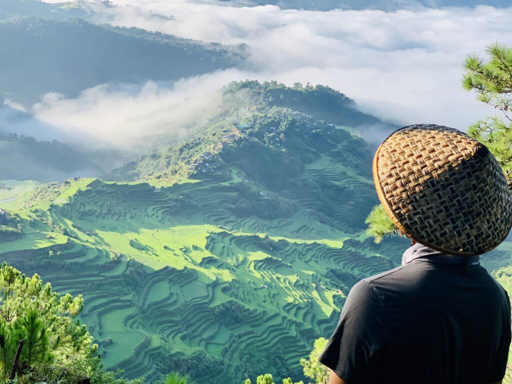 a person looking at a valley